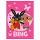 Bing nyuszis polár pléd kislányoknak