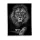 Oroszlános polár pléd